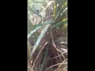 Desi girl outdoor caught