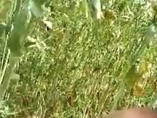 Indian young boy & girl enjoy sex