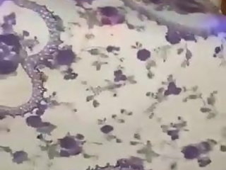 Indian group fun swapping